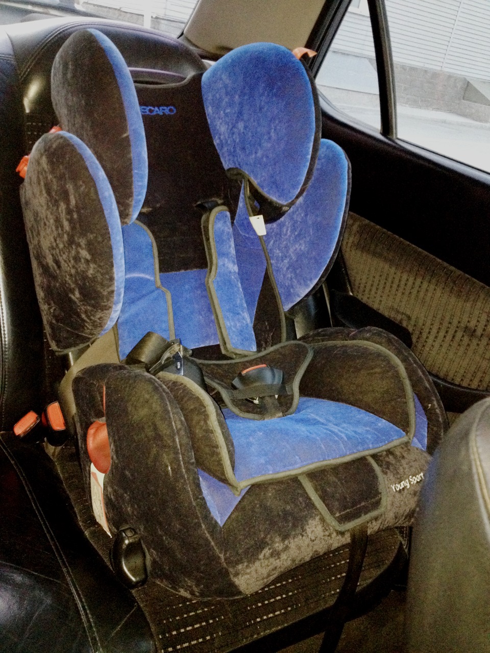 Recaro Young Sport (Microfibre) для сына — Honda Accord (6G), 2 л, 2002  года | своими руками | DRIVE2