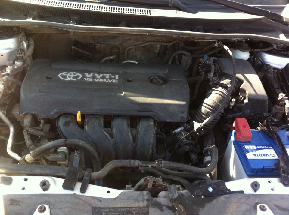 Kärcher SC1020 — Toyota Corolla (140/150), 1,4 л, 2008 года | мойка ...