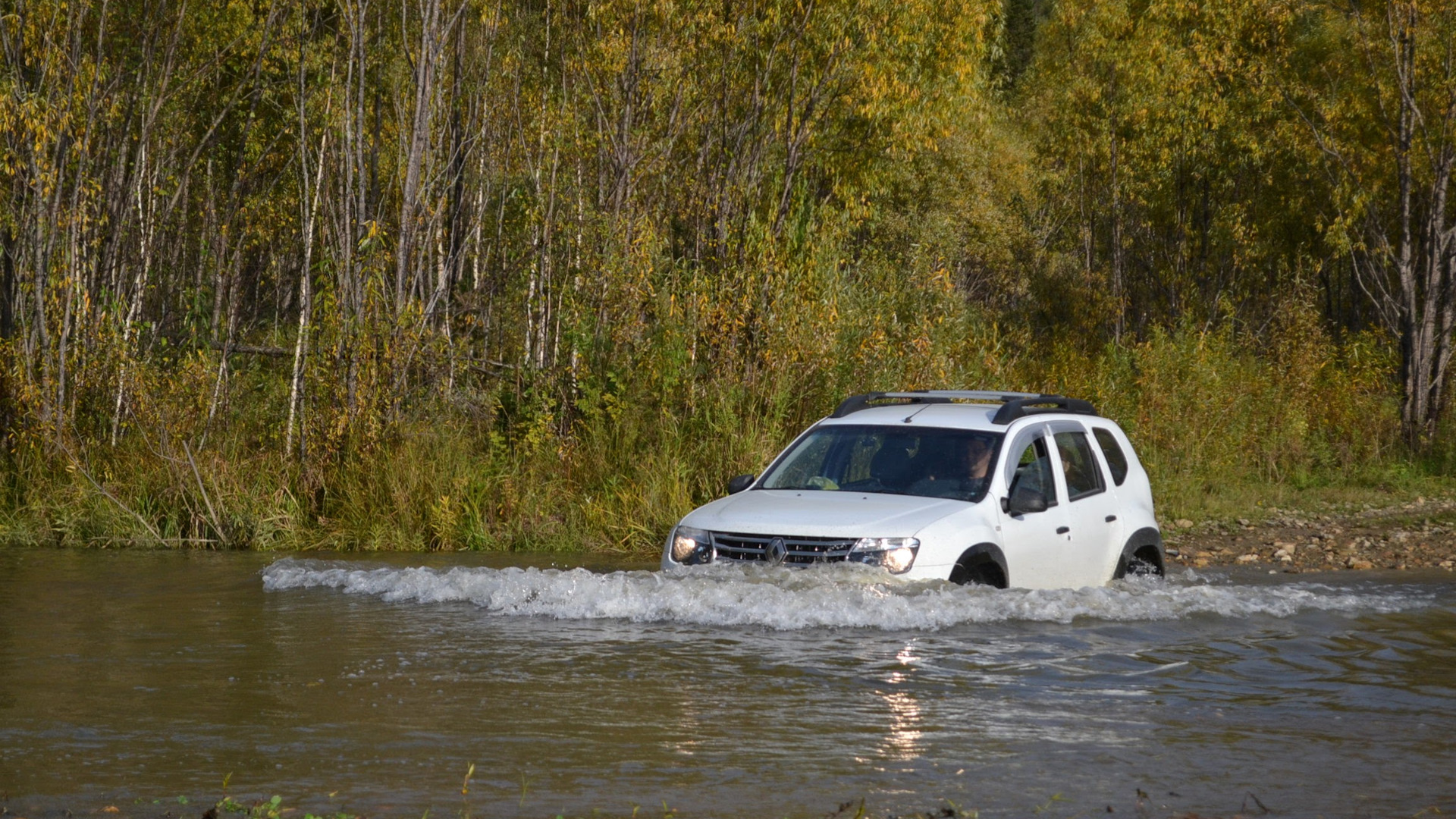 Renault Duster (1G) 2.0 бензиновый 2015 | Expression 2.0 4WD АТ на DRIVE2