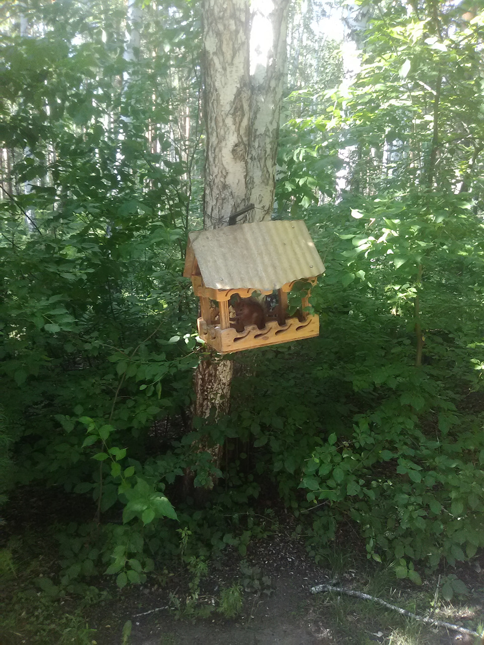 Фото в бортжурнале Haval H6 (1G)