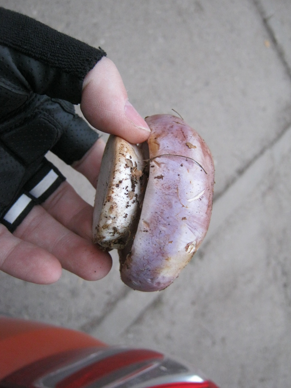 Фото в бортжурнале Lada Kalina Cross