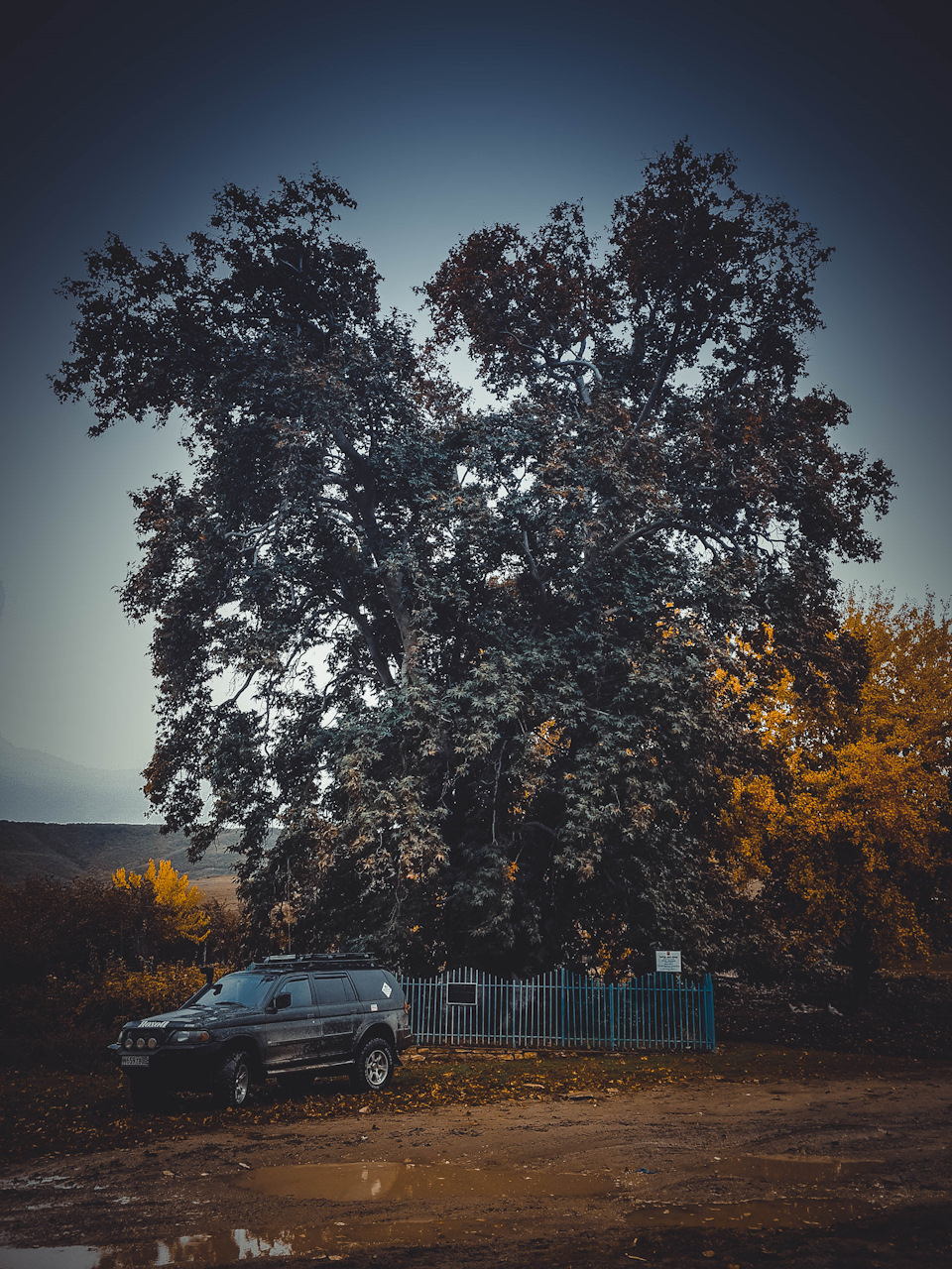 Воооон какой вымахал… — Mitsubishi Montero Sport (1G)