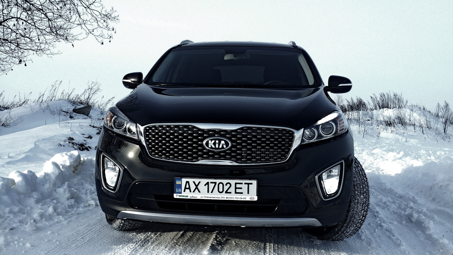 Sorento prime crdi