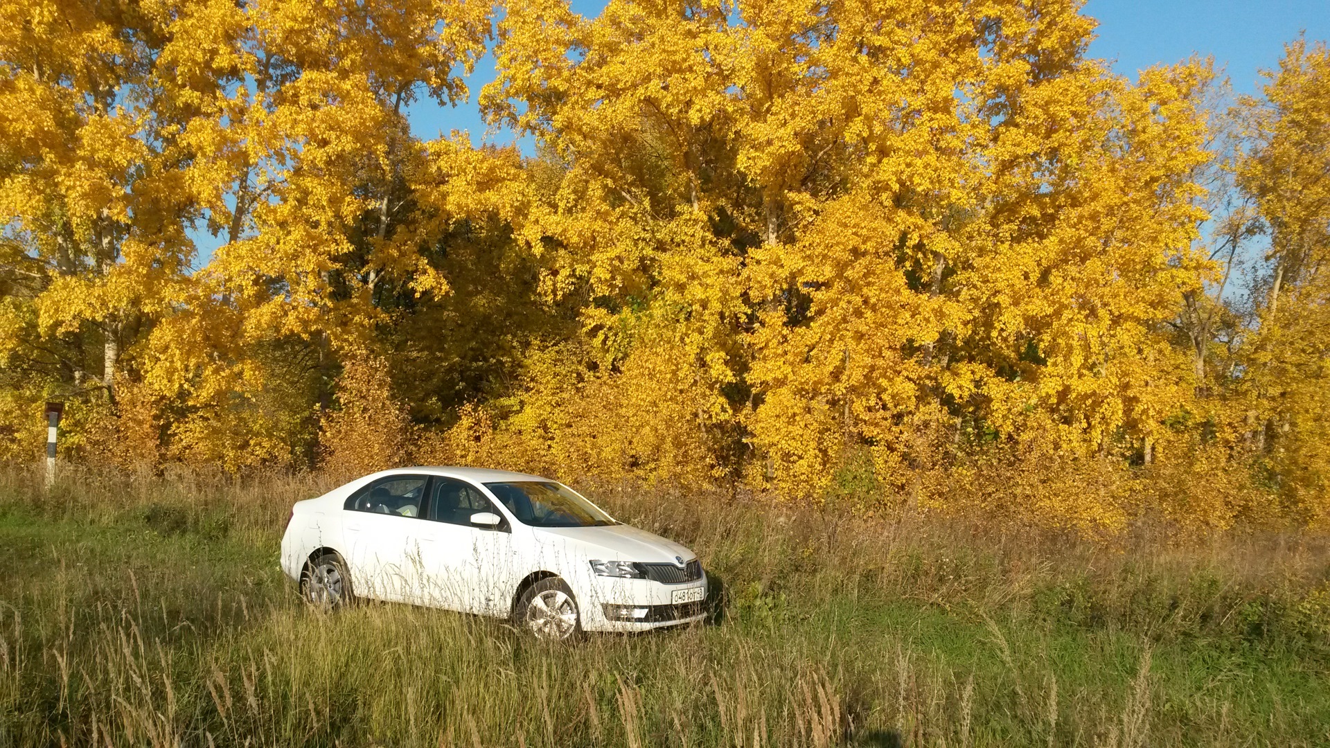 Эстетика на тему осень. Осенний несколько. Осенний несколько. Осенняя фотосессия групповая. Девушка осенью.