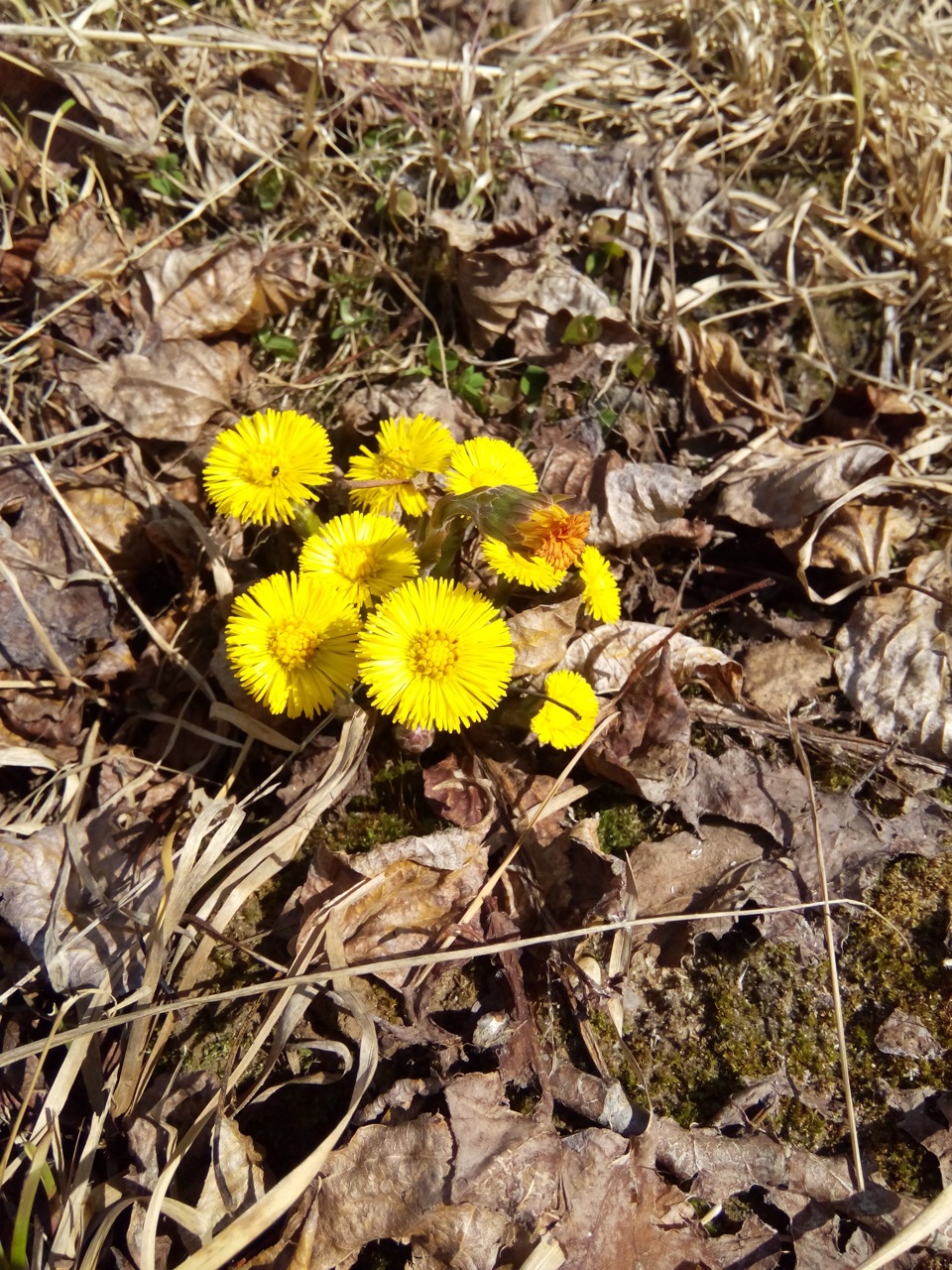 Свист ремня при включении кондея. Развязка. — УАЗ Patriot, 2,7 л., 2014 ...