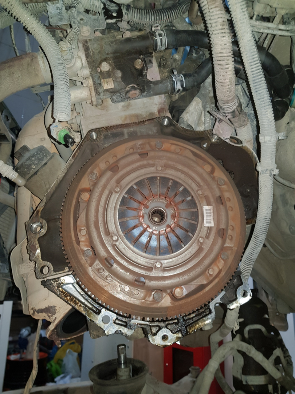 Замена заднего сальника КВ и сцепления — Opel Astra H GTC, 1,6 л, 2010 ...