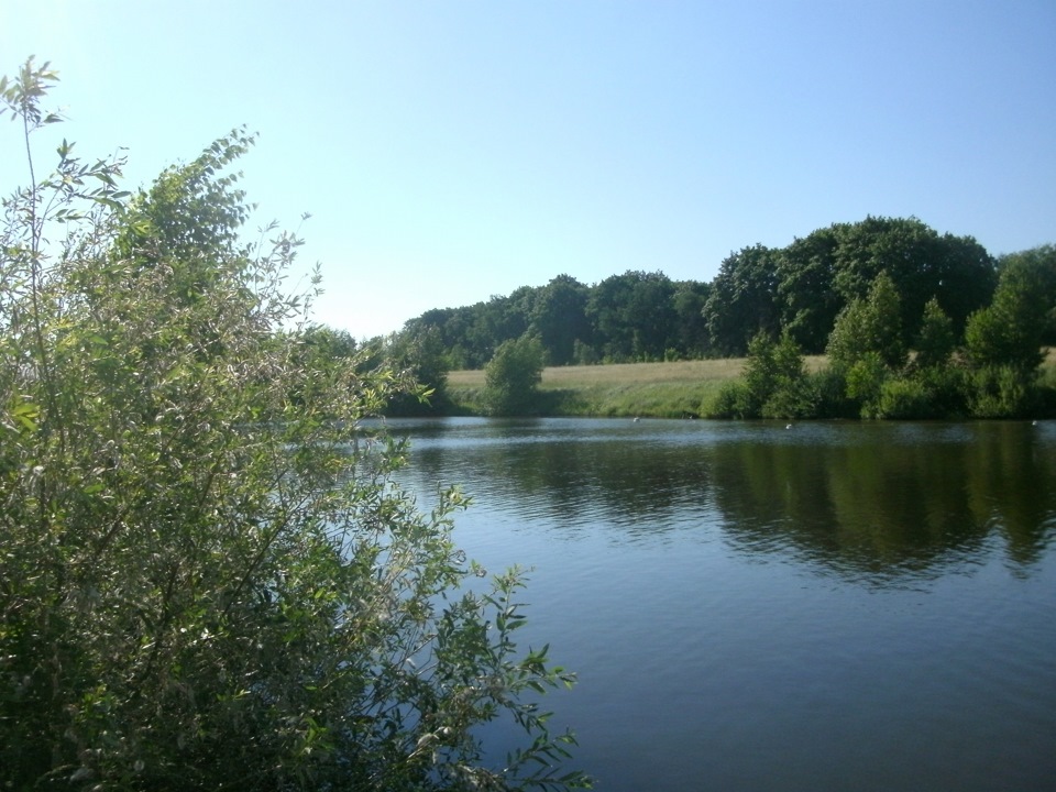 погода в ломигорах липецкой