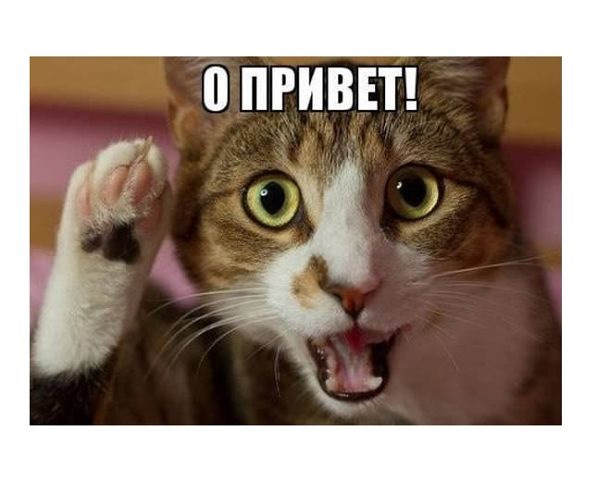 У меня родился СЫН ! Радости пост ! — DRIVE2
