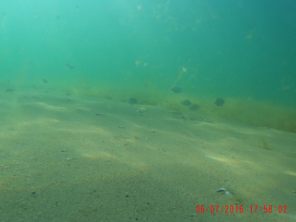 Фото в бортжурнале SsangYong Kyron