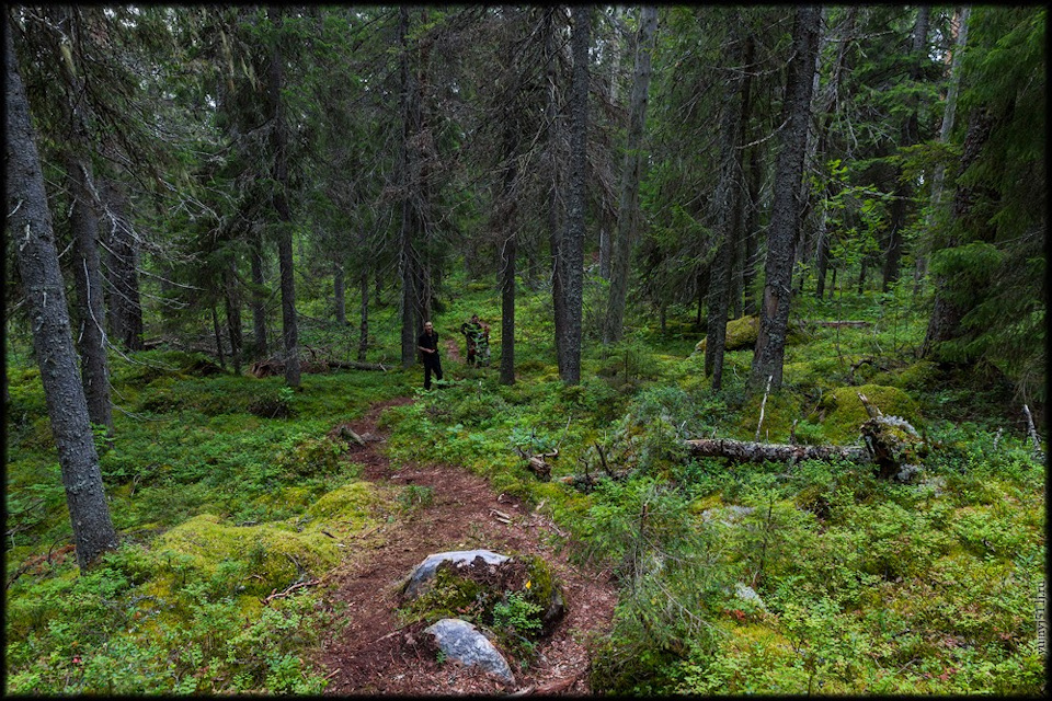 Петсеваара гора