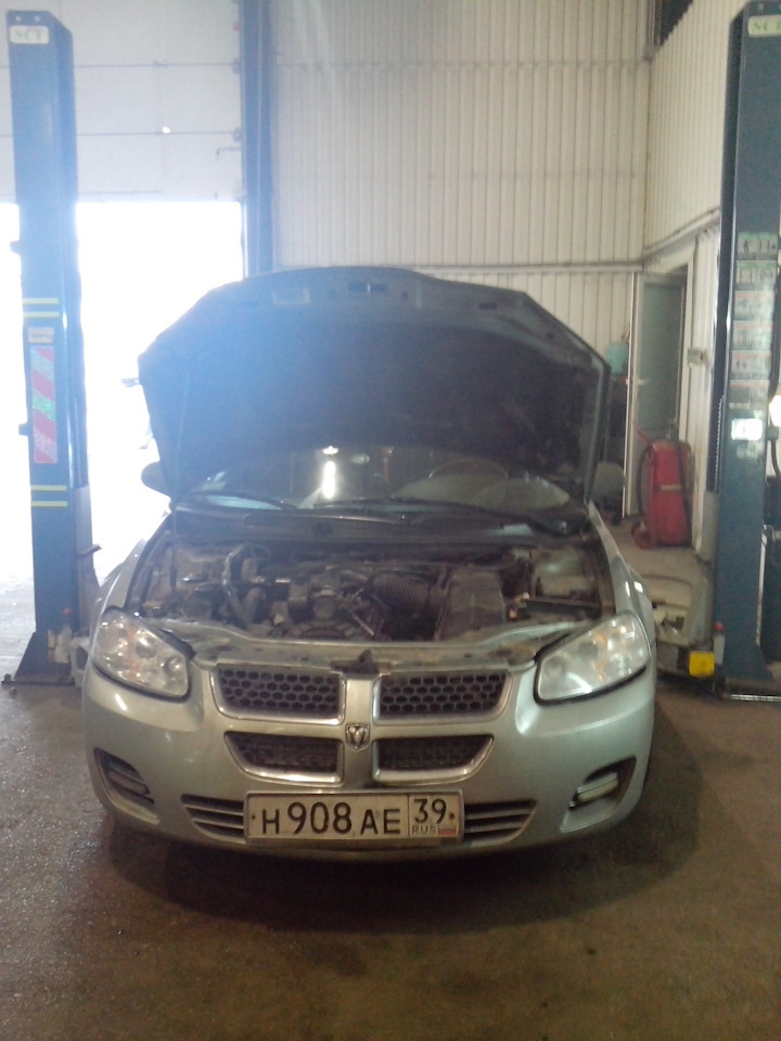 Готовим ведерко к зиме — свежее маселко и обманка 2 лямбды — Dodge ...