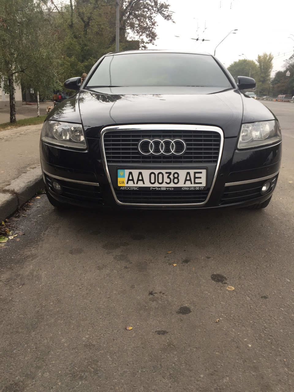 Рамки 2 рамки в цвет машины! — Audi A6 (C6), 2,4 л, 2006 года | аксессуары  | DRIVE2