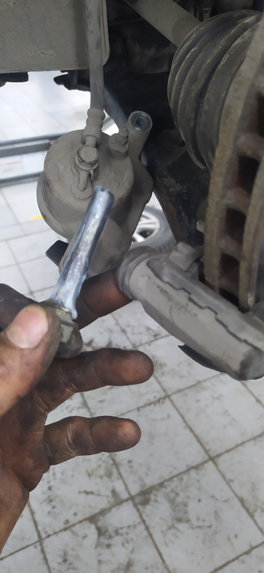 Фото в бортжурнале Toyota Premio (T240)