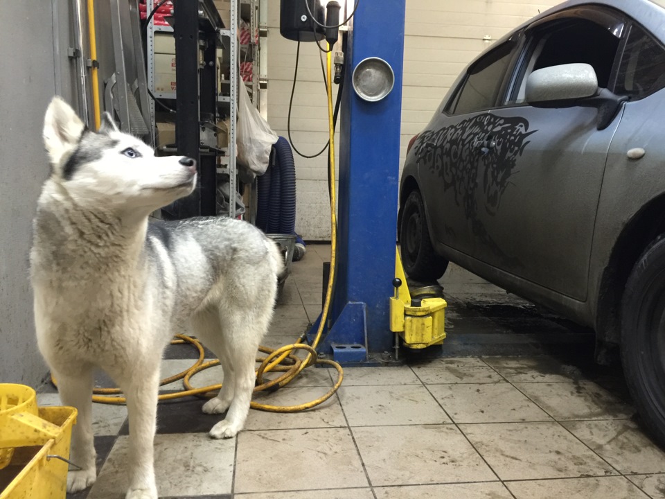 Замена свечей, масла, тормоз.жидкости + инициализация робота. — Toyota ...