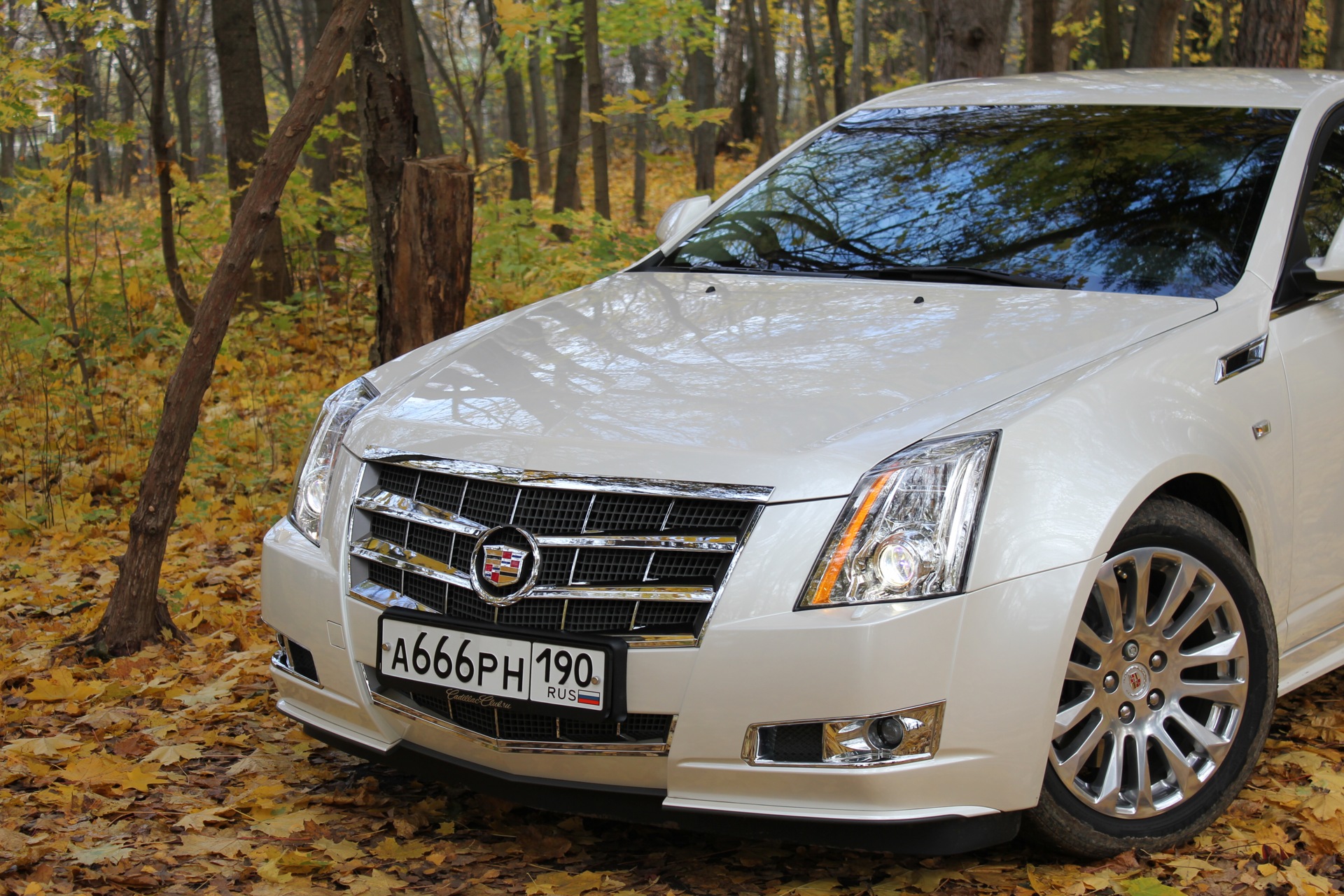 Фото в бортжурнале Cadillac CTS (2G)