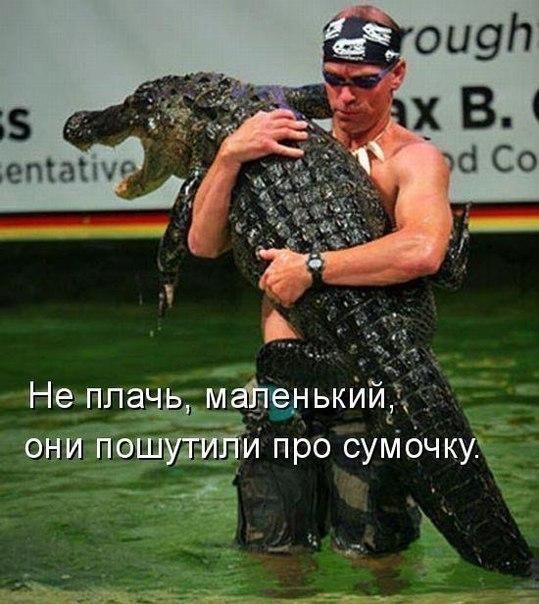 Благословения день, смешные картинки не плач