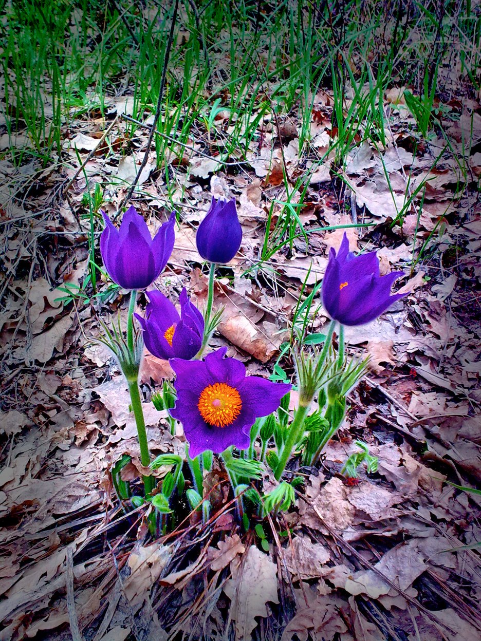 В поисках пещеры братьев Греве 02.05.2011г . (Часть третья) — DRIVE2