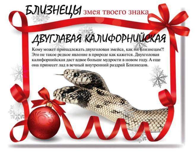 Год змеи 2025 по какому календарю Друзья! С Новым 2013 Годом! - Great Wall Hover, 2 л, 2011 года просто так DRIVE2
