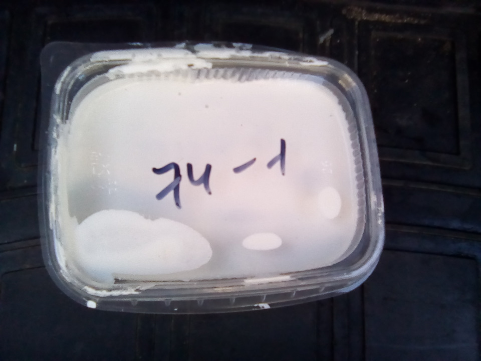 Очистка фар от битума — Lada Гранта лифтбек, 1,6 л, 2016 года | мойка ...