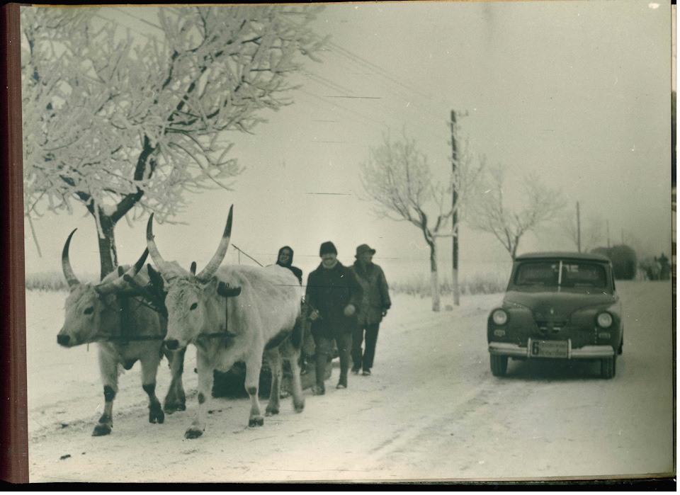 Фото в бортжурнале ГАЗ М-20 Победа