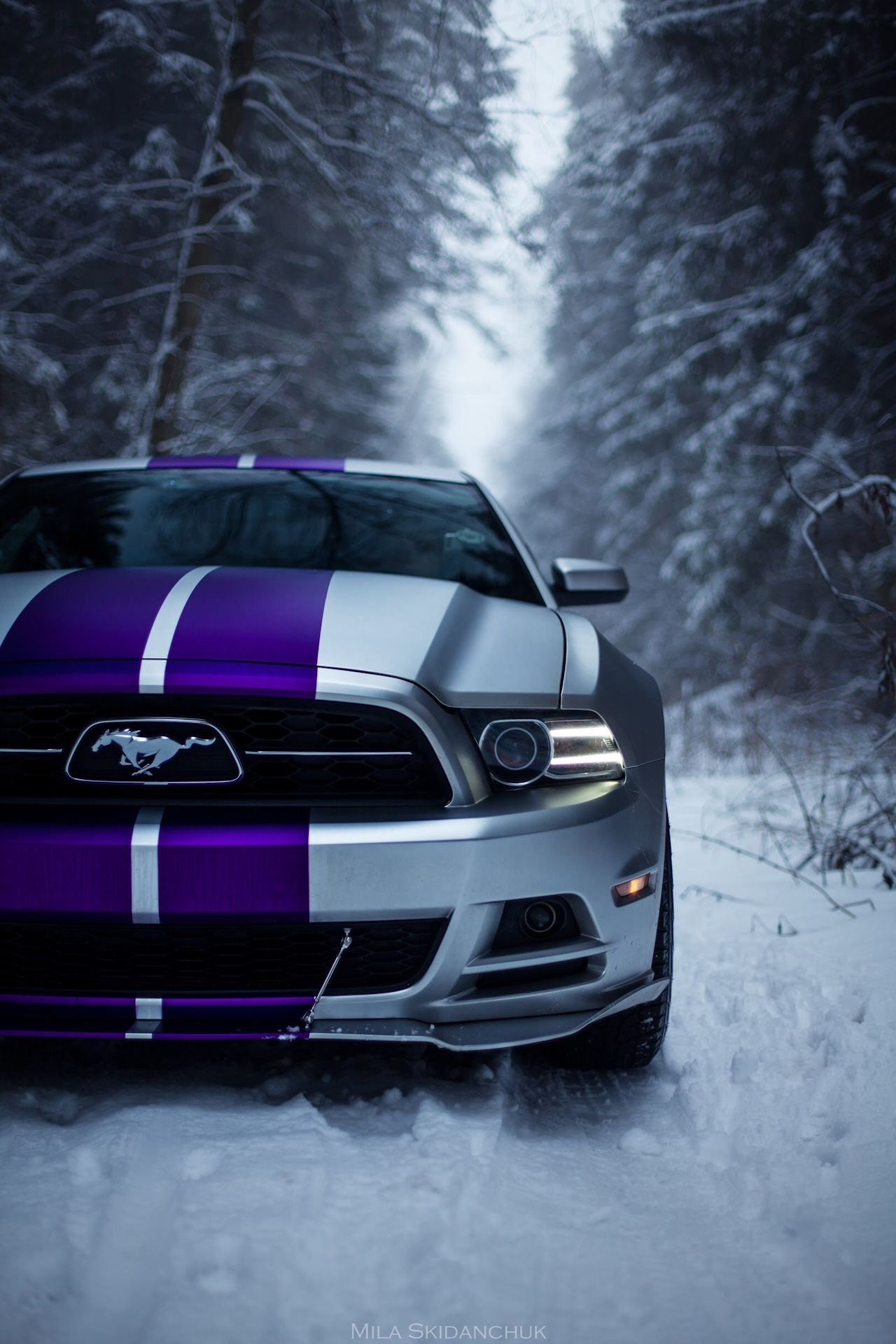 Ford Mustang 2013 лес зимний