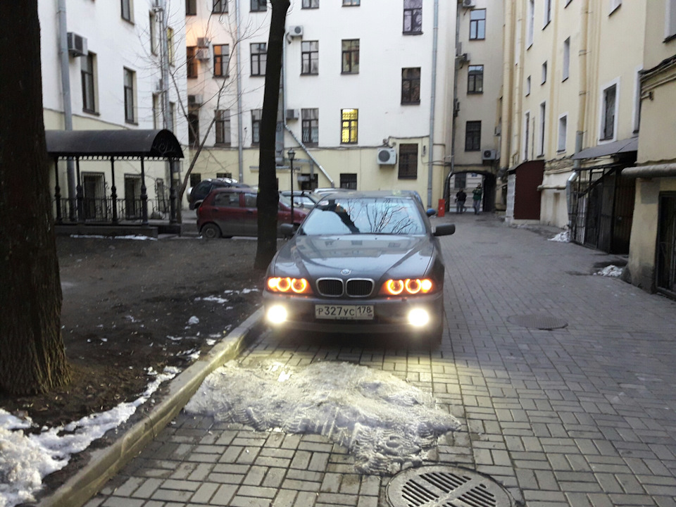 Янтарные глаза — BMW 5 series (E39), 2,5 л, 2001 года | аксессуары | DRIVE2