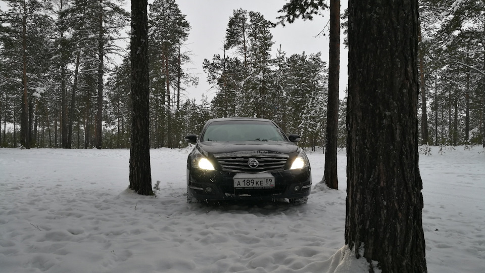 Сброс датчика старения масла в вариаторе. — Nissan Teana (J32), 2,5 л ...