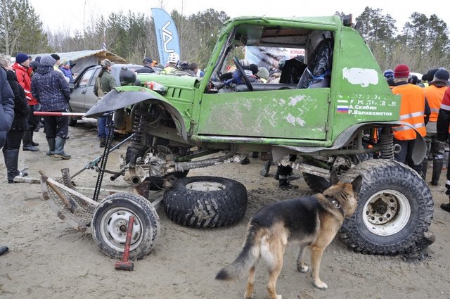 котлеты которые так и не смогли стартовать — Шишка