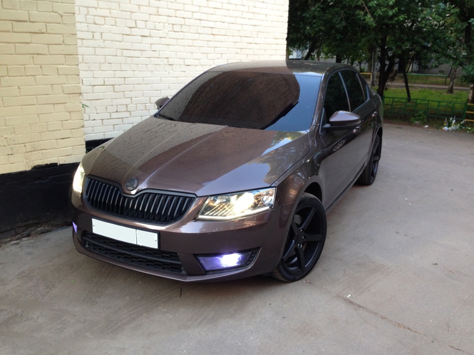 Skoda Octavia Black антихром