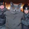 как узнать какая главная пара на редукторе. Смотреть фото как узнать какая главная пара на редукторе. Смотреть картинку как узнать какая главная пара на редукторе. Картинка про как узнать какая главная пара на редукторе. Фото как узнать какая главная пара на редукторе