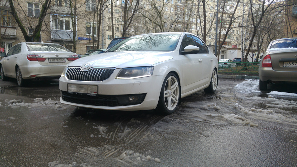 Фото в бортжурнале Skoda Octavia A7 Mk3
