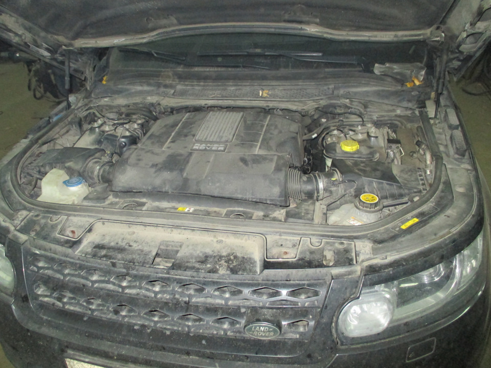 Удаление катализатора Range Rover Sport SuperCharged в Липецке ...