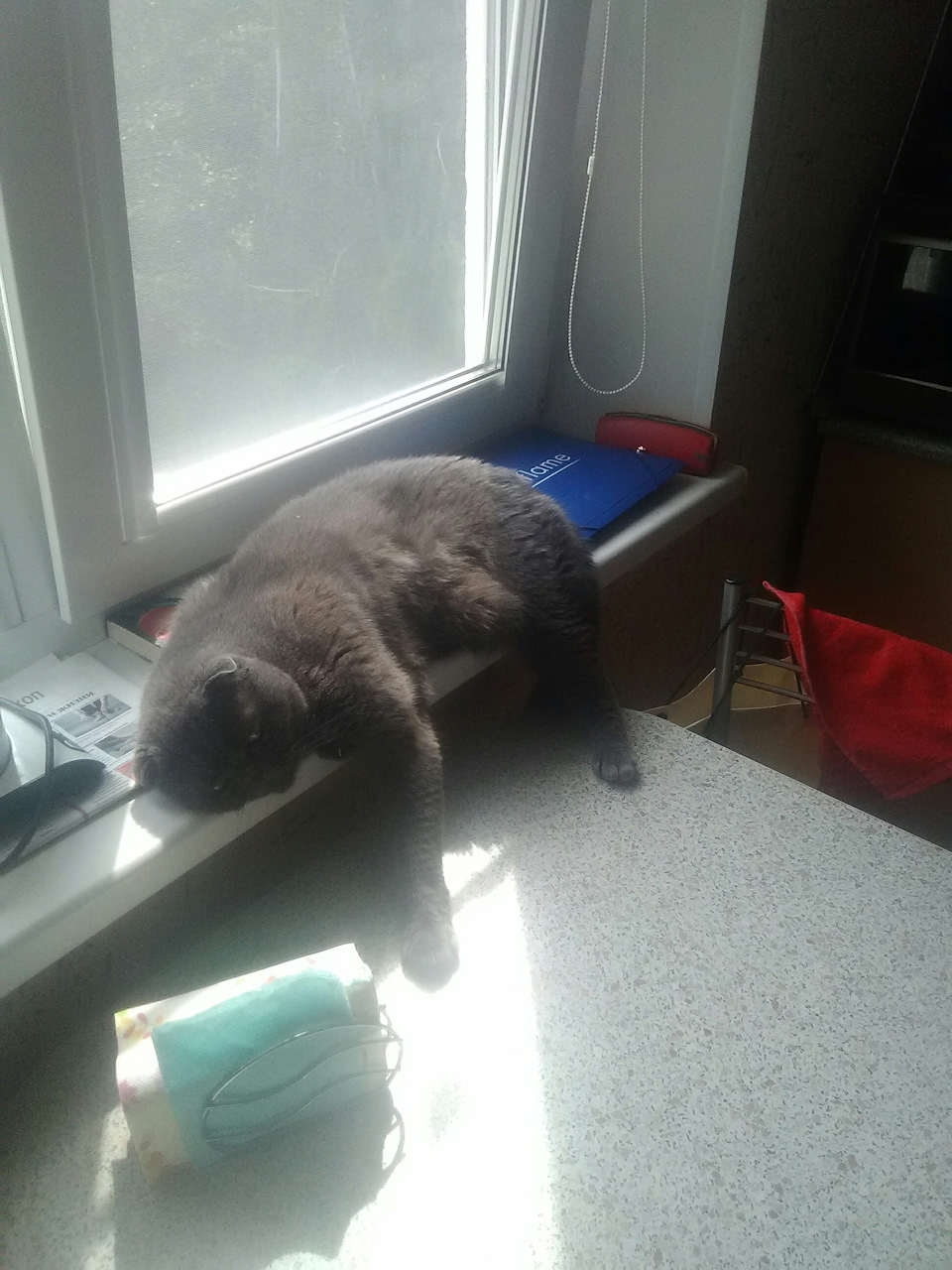 Фото в бортжурнале Haval H6 (1G)