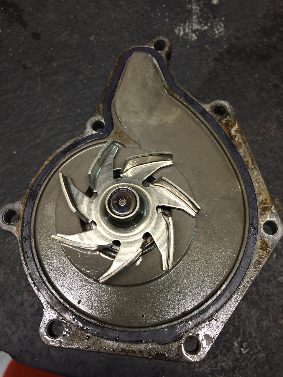 Замена термостата, помпы. И какую помпу ставить не надо. — Volkswagen ...