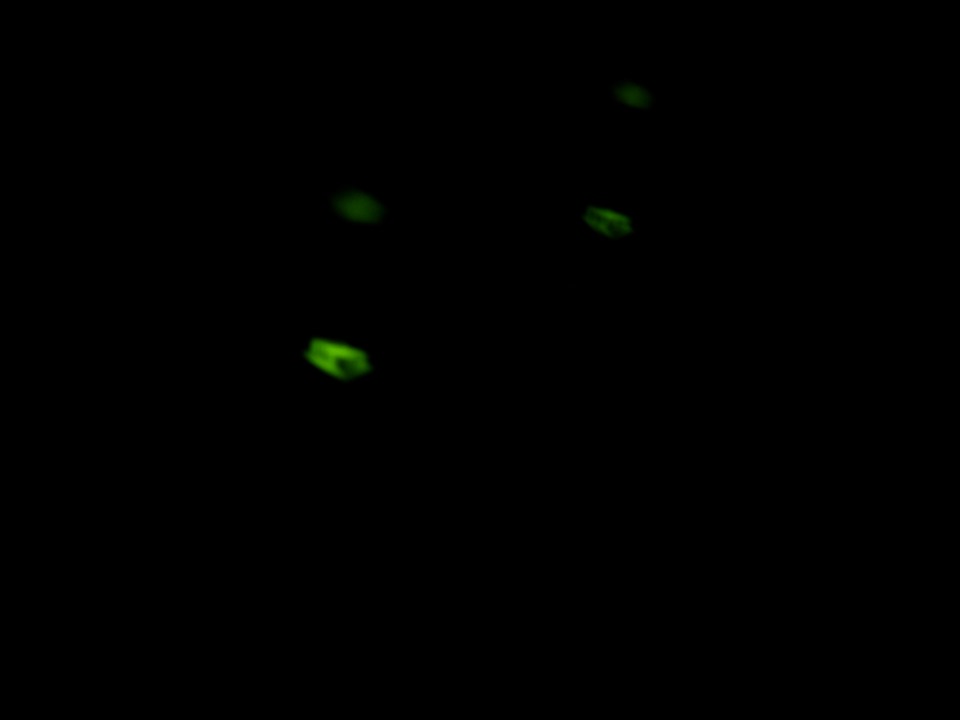 2 эсп на авто что это такое. Смотреть фото 2 эсп на авто что это такое. Смотреть картинку 2 эсп на авто что это такое. Картинка про 2 эсп на авто что это такое. Фото 2 эсп на авто что это такое 2 эсп на авто что это такое. Смотреть фото 2 эсп на авто что это такое. Смотреть картинку 2 эсп на авто что это такое. Картинка про 2 эсп на авто что это такое. Фото 2 эсп на авто что это такое