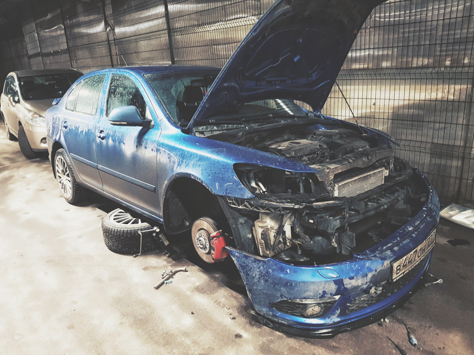 фарш для проезжающих мимо=) — Skoda Octavia RS A5 Mk2