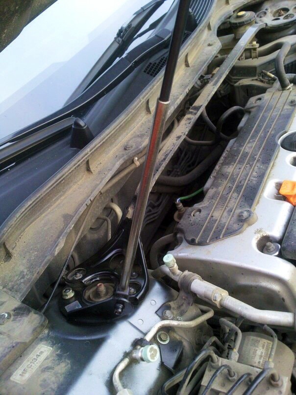 Пневмо упор капота — Honda Accord (8G), 2,4 л, 2010 года | аксессуары ...