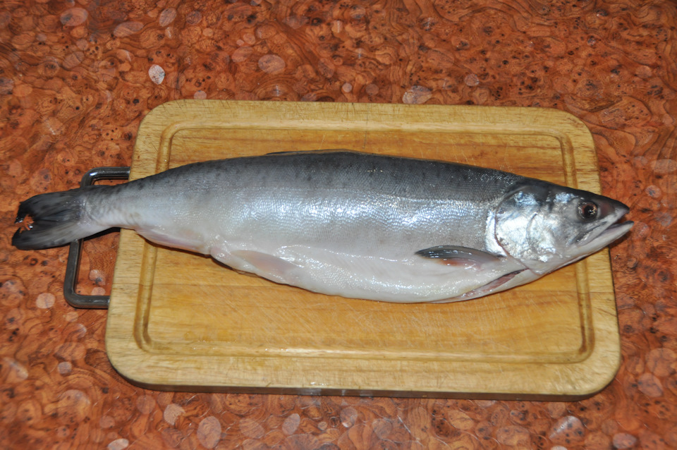 рыба в сливках на пару. Смотреть фото рыба в сливках на пару. Смотреть картинку рыба в сливках на пару. Картинка про рыба в сливках на пару. Фото рыба в сливках на пару рыба в сливках на пару. Смотреть фото рыба в сливках на пару. Смотреть картинку рыба в сливках на пару. Картинка про рыба в сливках на пару. Фото рыба в сливках на пару