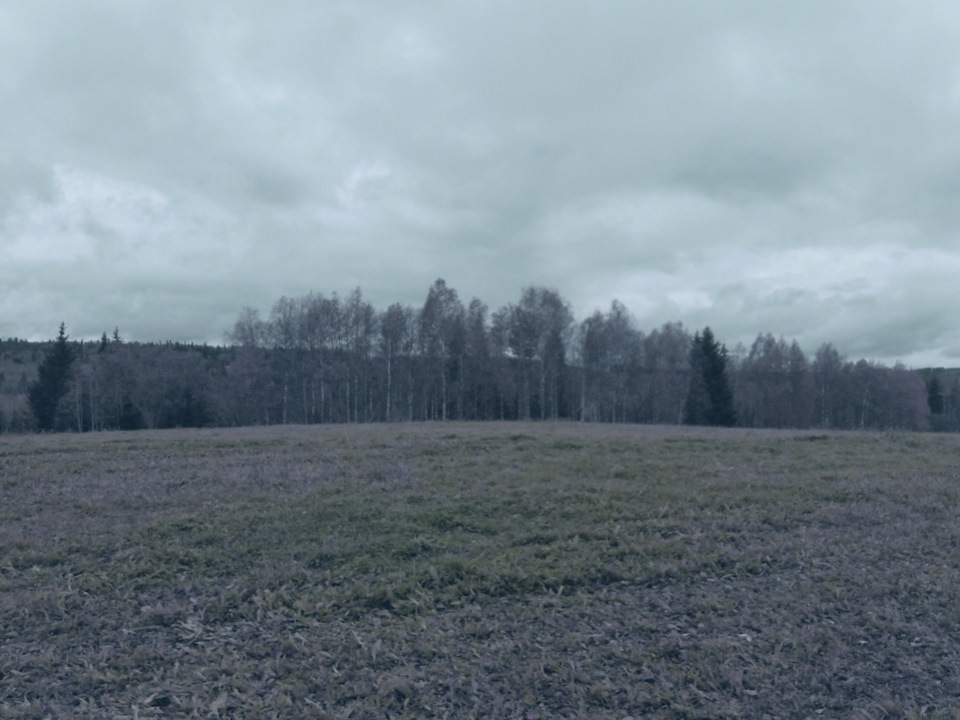 Выход для реги. — Chevrolet Niva, 1,7 л, 2004 года | электроника | DRIVE2