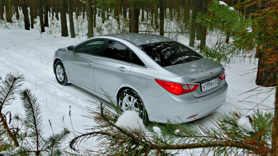 Держатели дверей (ограничитель), или как их там. — Hyundai Sonata VI ...