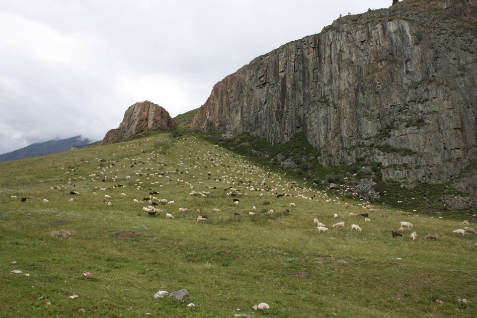 Фото в бортжурнале Mitsubishi Pajero Sport (2G)