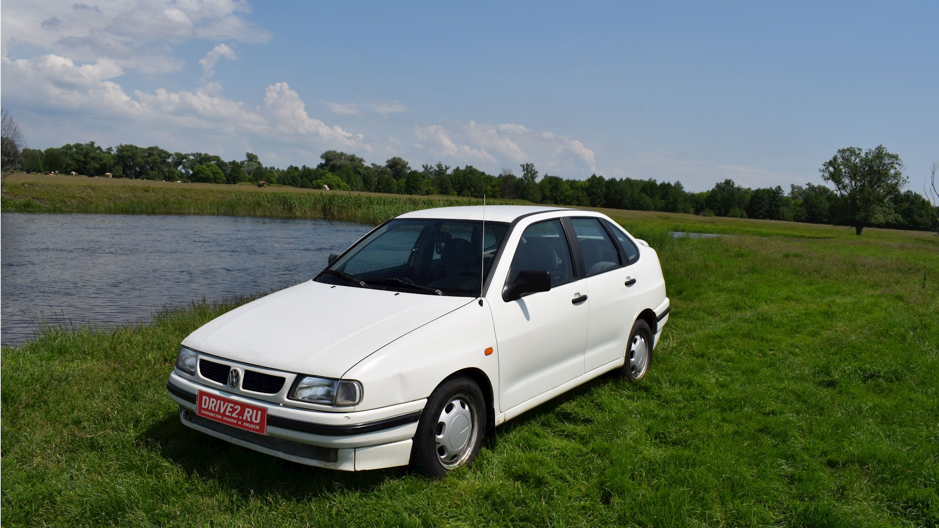 Volkswagen Polo Mk3 1.6 бензиновый 1996 | ◅Б̲е̲л̲а̲я̲ с̲т̲и̲х̲и̲я▻ на DRIVE2