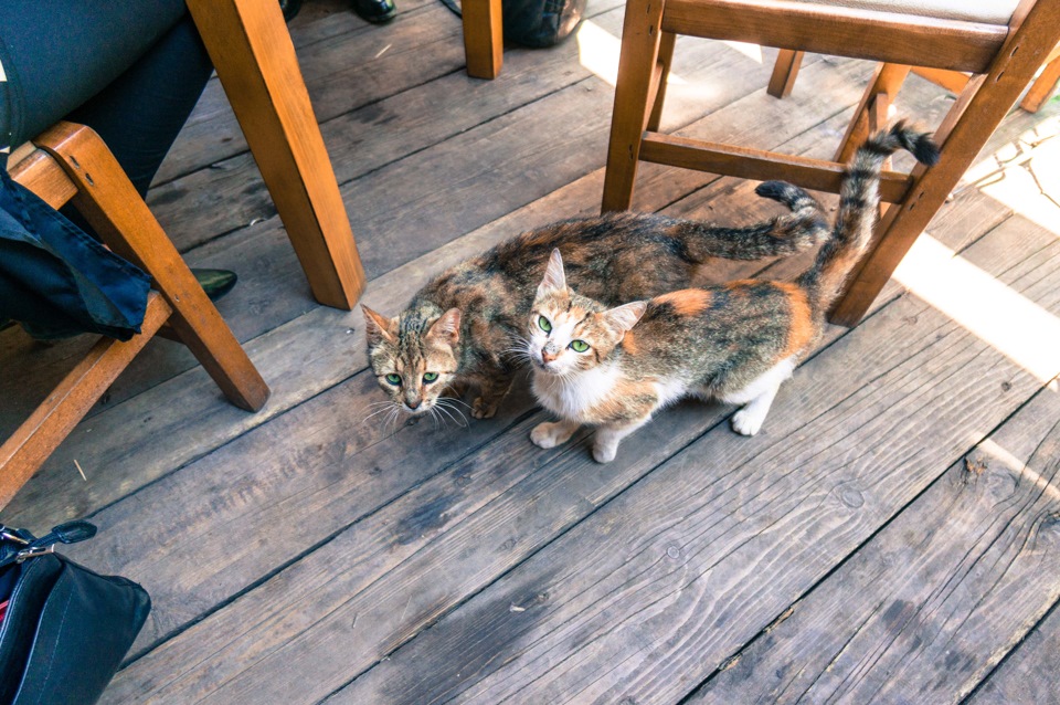 Скопье матка как добраться. Смотреть фото Скопье матка как добраться. Смотреть картинку Скопье матка как добраться. Картинка про Скопье матка как добраться. Фото Скопье матка как добраться Скопье матка как добраться. Смотреть фото Скопье матка как добраться. Смотреть картинку Скопье матка как добраться. Картинка про Скопье матка как добраться. Фото Скопье матка как добраться