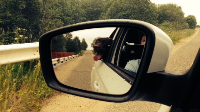 Однократный стук при "игре" с педалью газа. Прошу помощи! — Skoda Rapid ...