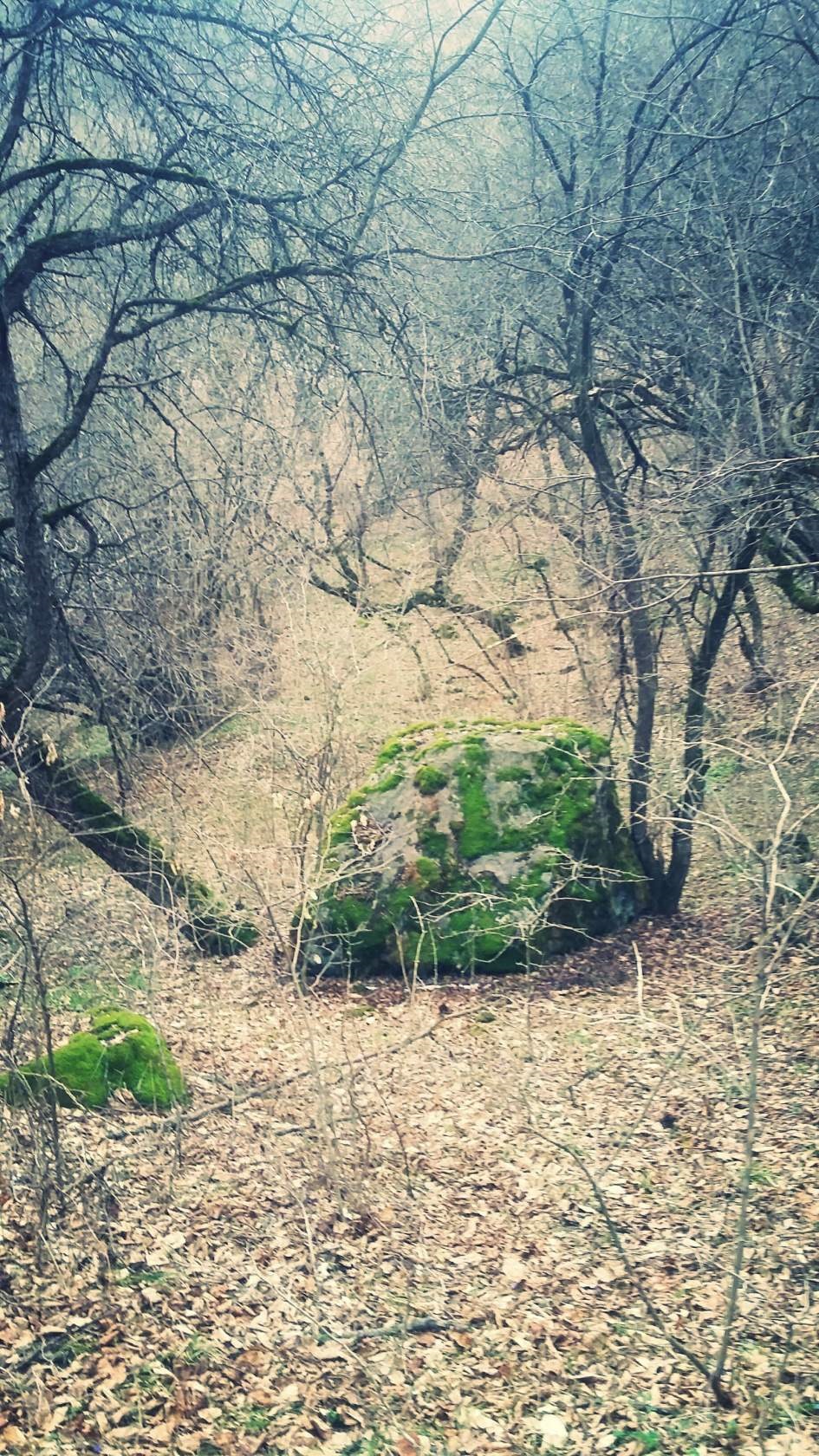 Фото в бортжурнале Lada 4x4 3D