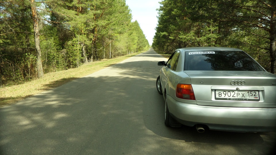 Запах женного сцепления — Audi A4 (B5), 1,6 л, 1995 года | другое | DRIVE2