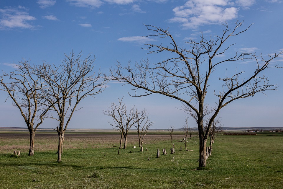 Spring Astrakhan