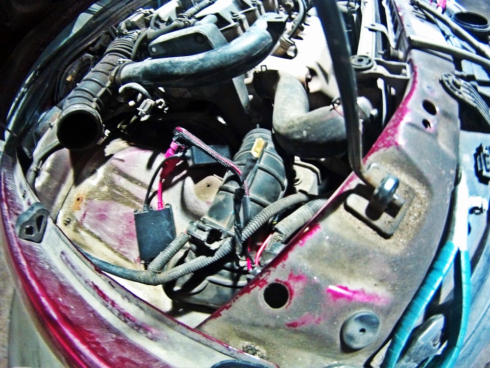 Как сделать американки нексия. Смотреть фото Как сделать американки нексия. Смотреть картинку Как сделать американки нексия. Картинка про Как сделать американки нексия. Фото Как сделать американки нексия Как сделать американки нексия. Смотреть фото Как сделать американки нексия. Смотреть картинку Как сделать американки нексия. Картинка про Как сделать американки нексия. Фото Как сделать американки нексия