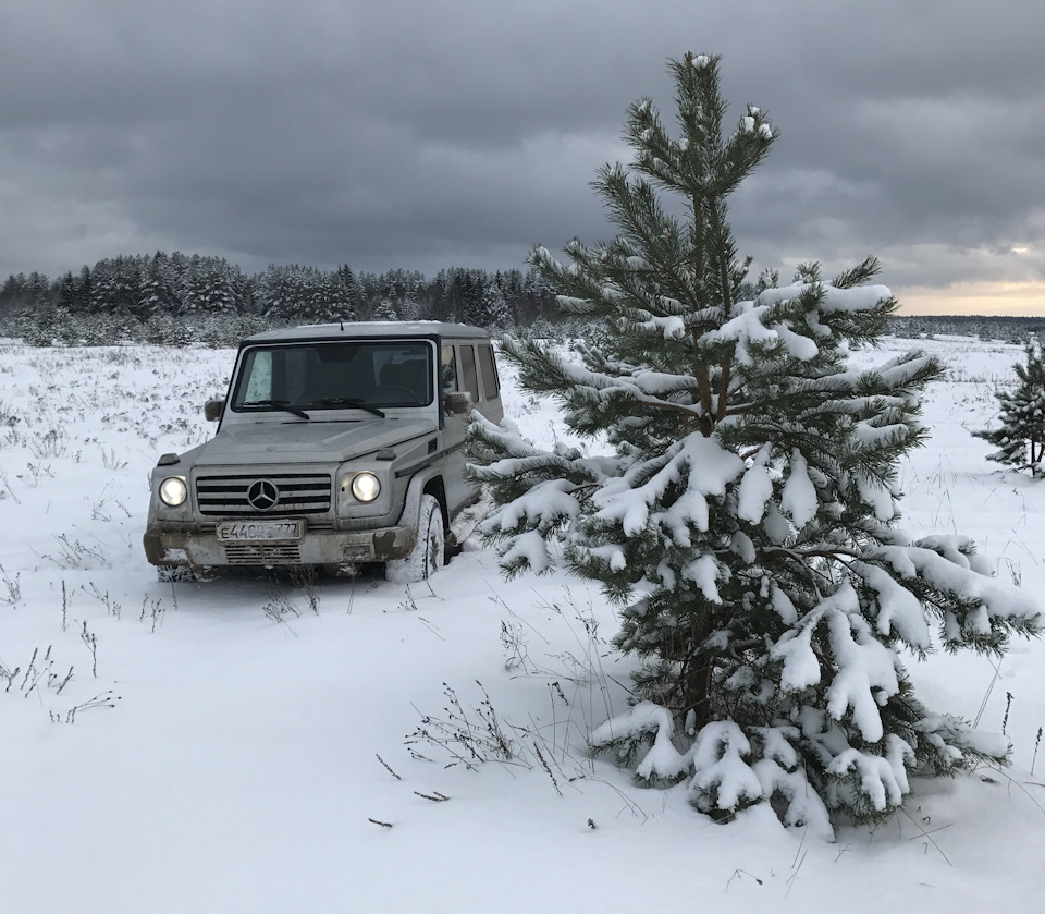 Немодные выходные — Mercedes-Benz G-Class (W463), 5,5 л, 2009 года |  путешествие | DRIVE2