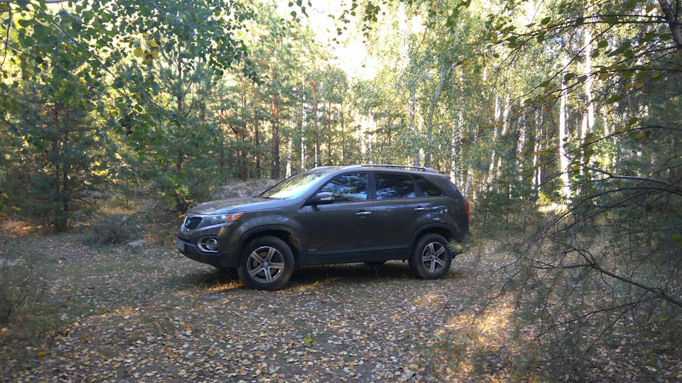 Фото в бортжурнале KIA Sorento (2G)